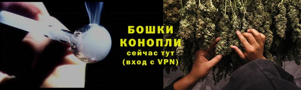 ECSTASY Медногорск